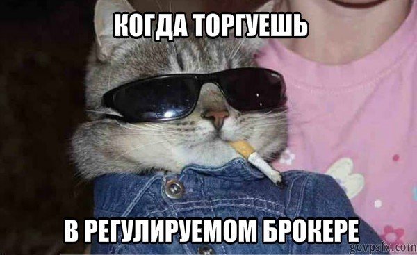 Воняешь слабостью Мем кот