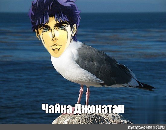 Стивен Чайка