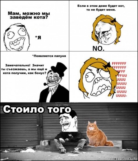Смешные мемы про котов