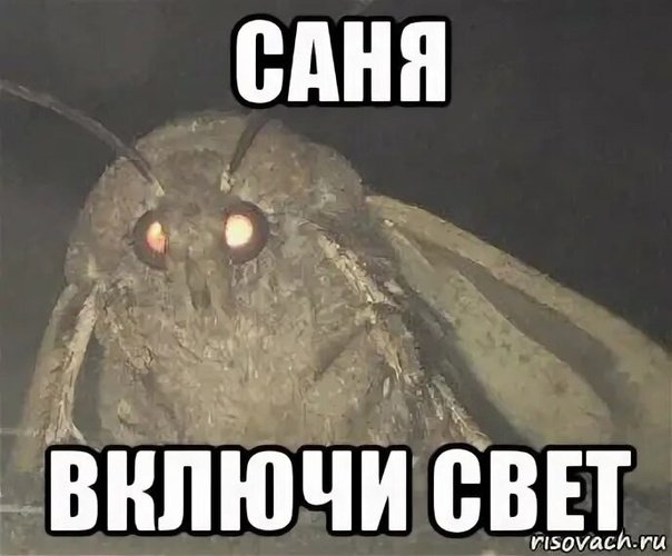 Мемы про свету