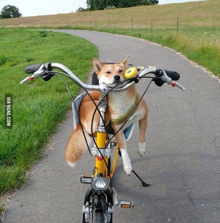 Смешной велик