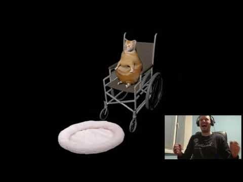 Кот в инвалидной коляске Мем