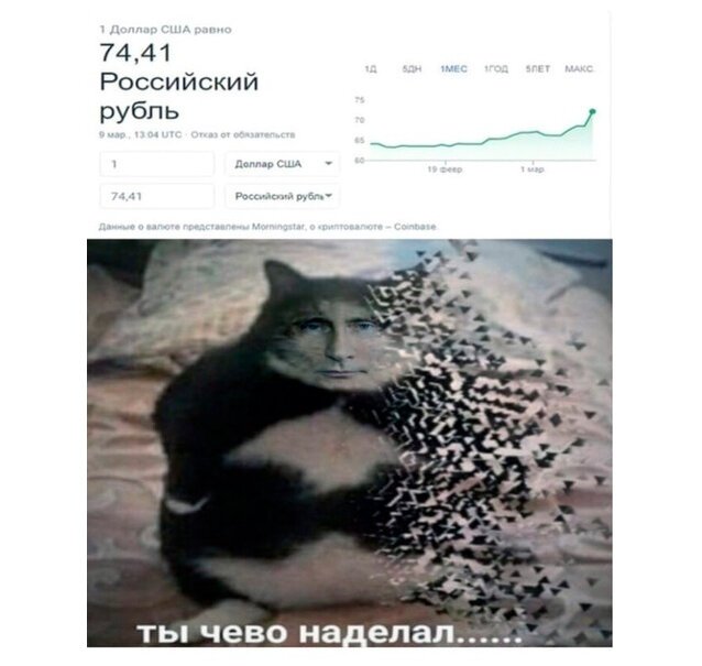 Кот исчезает Мем