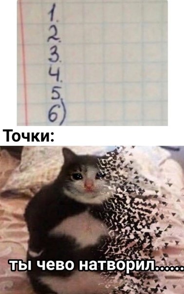 Котик исчезает Мем