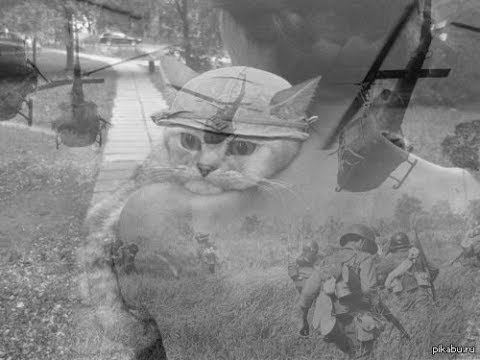 Флэшбэк Вьетнам