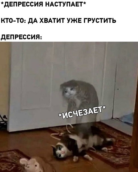 Ты чего наделал