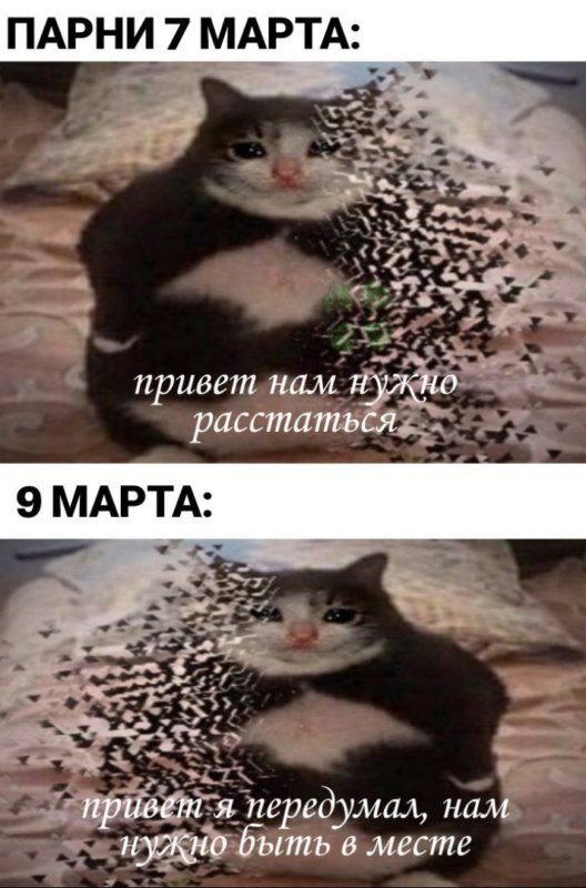 Кот исчезает Мем