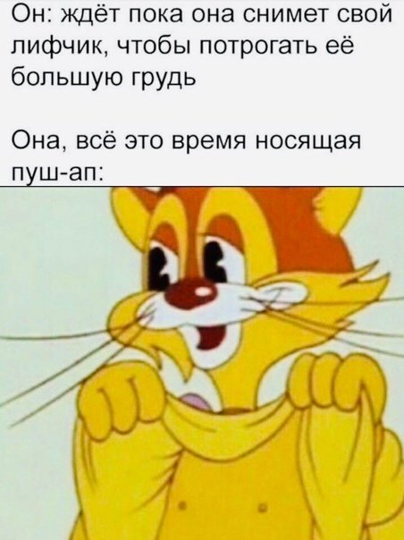 Кот Леопольд поднимает футболку