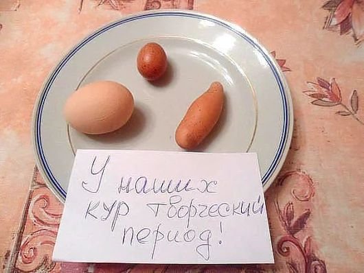 Смешные яйца