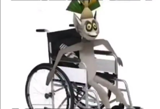 Король Джулиан на инвалидной коляске