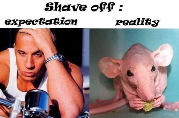 Подстригся налысо ожидание реальность
