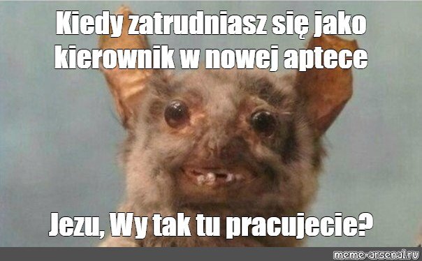 Страшная летучая мышь Мем