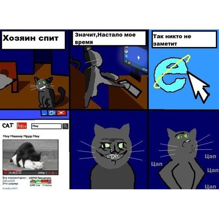 Котики смешные мемы