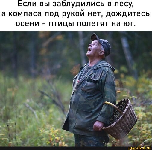 Если вы заблудились в лесу идите домой