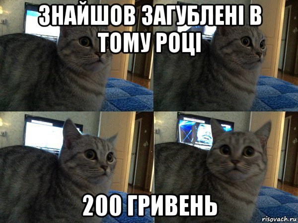 Кот носок мемы