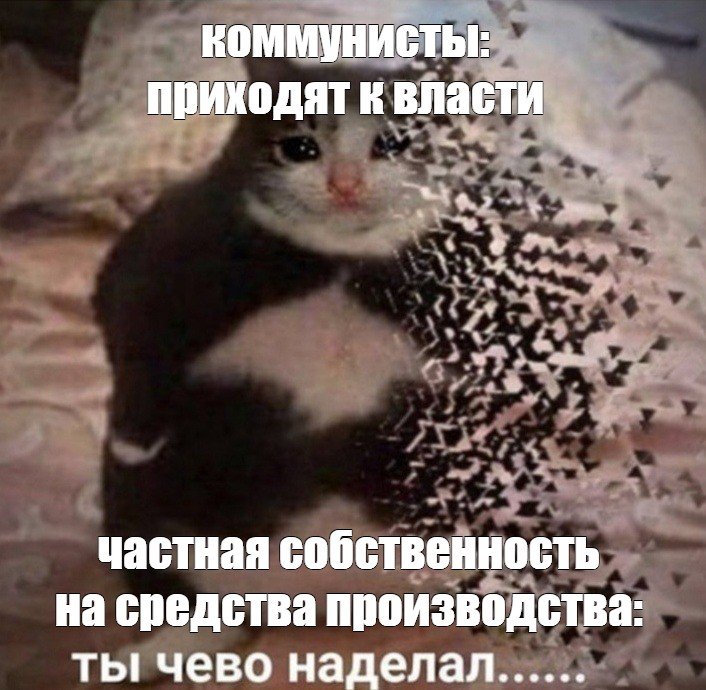 Кот исчезает Мем