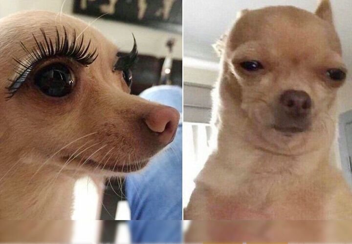 Приколы с нарощенными ресницами