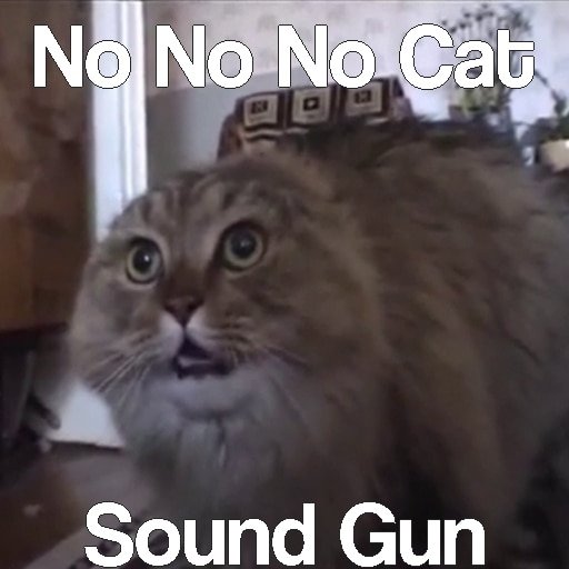 Мемный котик