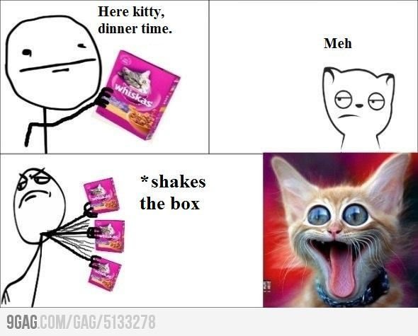 Котики смешные мемы