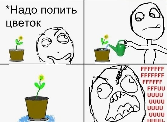 Мемы про цветы