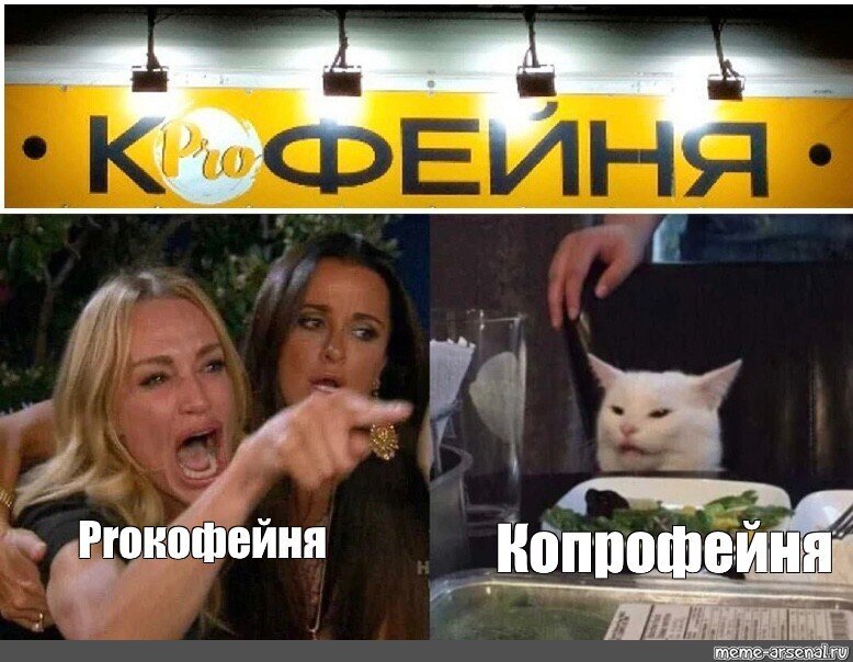 Мем кот и две девушки