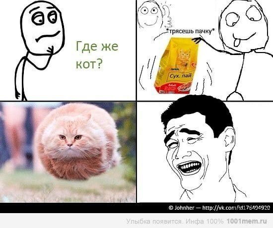УГАРНЫЙ кот мемы