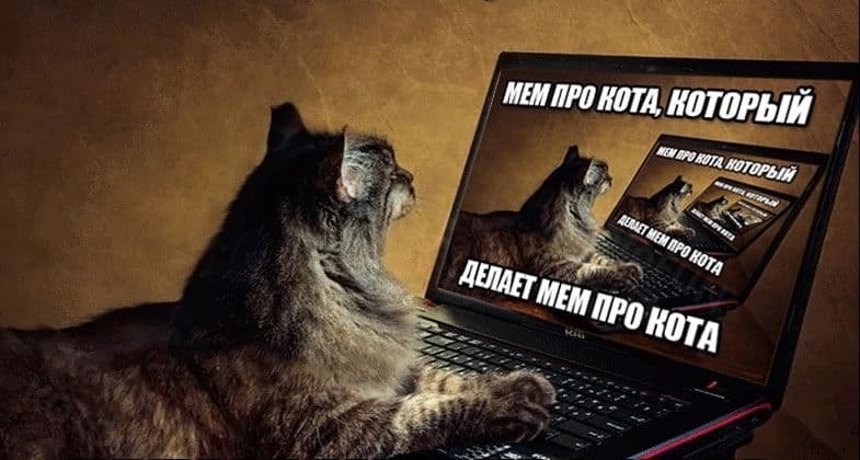 Кот Мем
