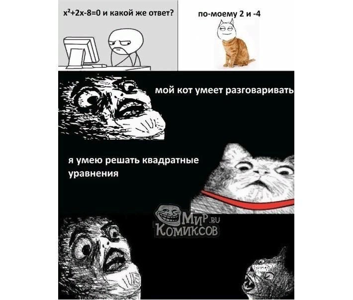 Смешные мемы про котов