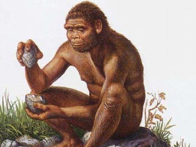 Человек умелый хомо хабилис