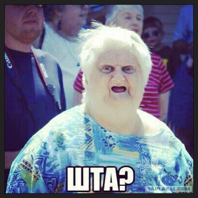 Шта фото прикол