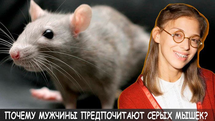 Серая мышка девушка