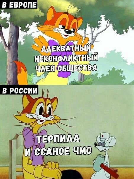 Кот Леопольд мемы