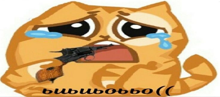 Кот персик плачет