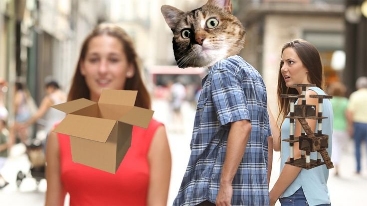 Мужчина с котом