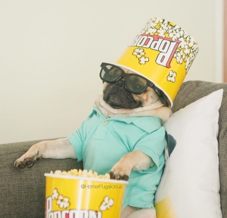 Попкорн Мем