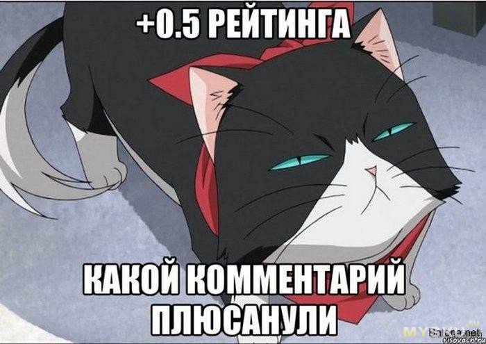 Подозрительный кот