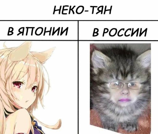 Мемы по аниме