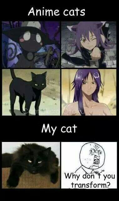 Прикольные аниме про кошек