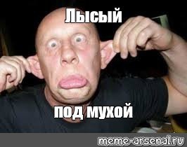 Шутки про лысых