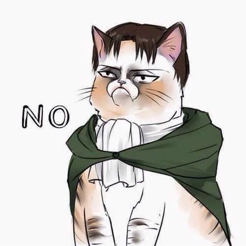 Атака титанов Леви кот