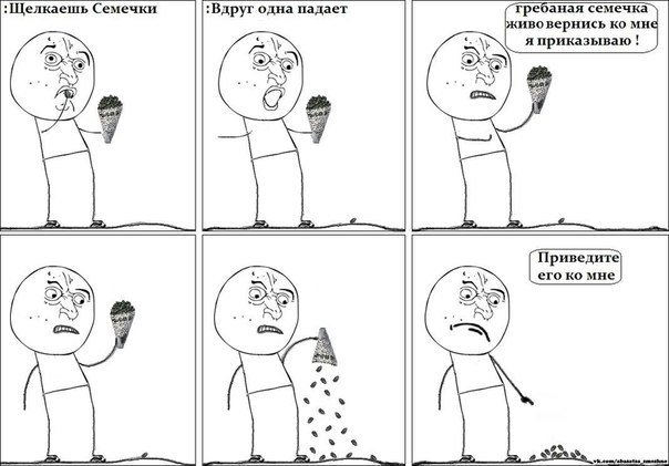 Мемы про семечки