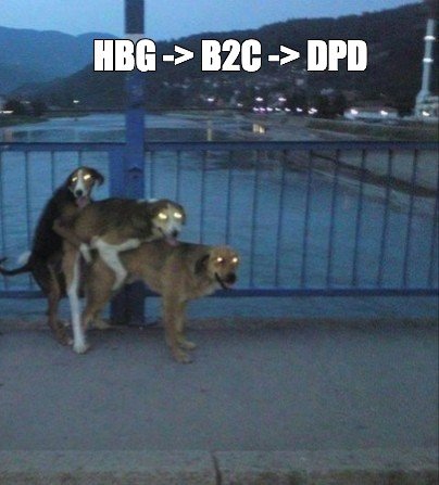 Три собаки Мем