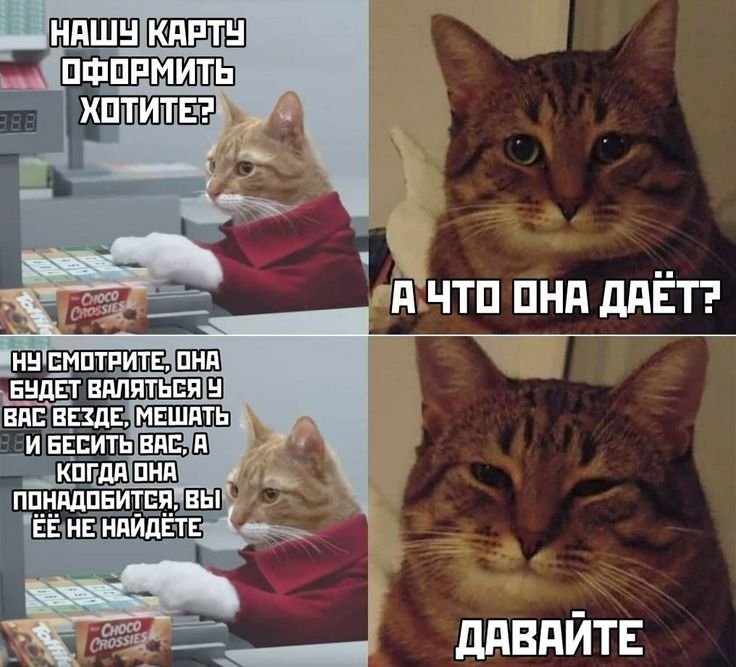 Мемы с кокотам