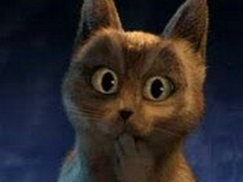 Кот из кота в сапогах оууу