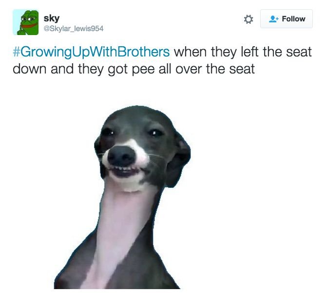 Кермит снуп дог