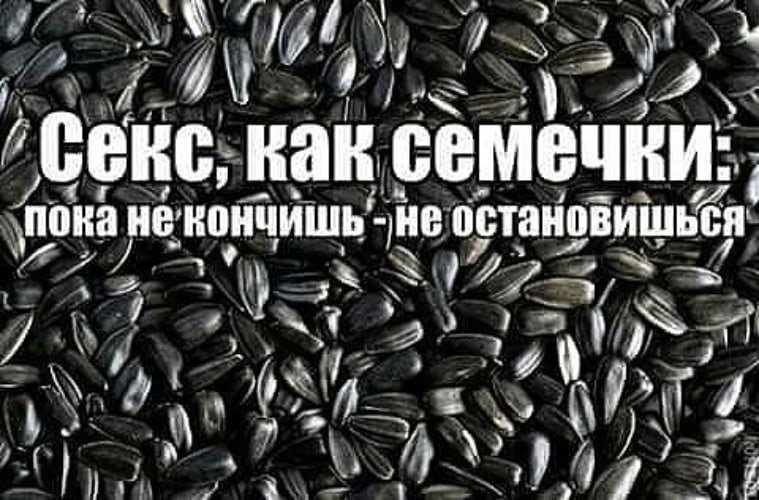 Шутки про семечки