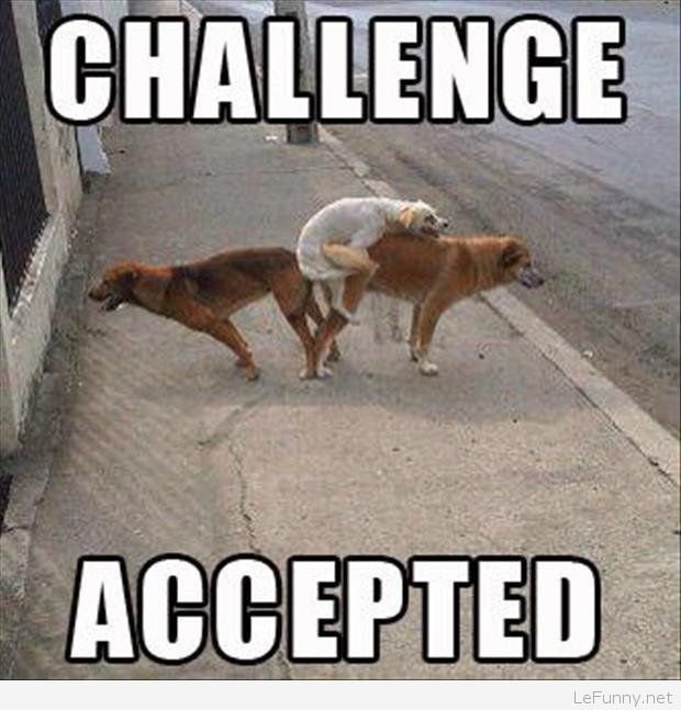 Challenge accepted meme
