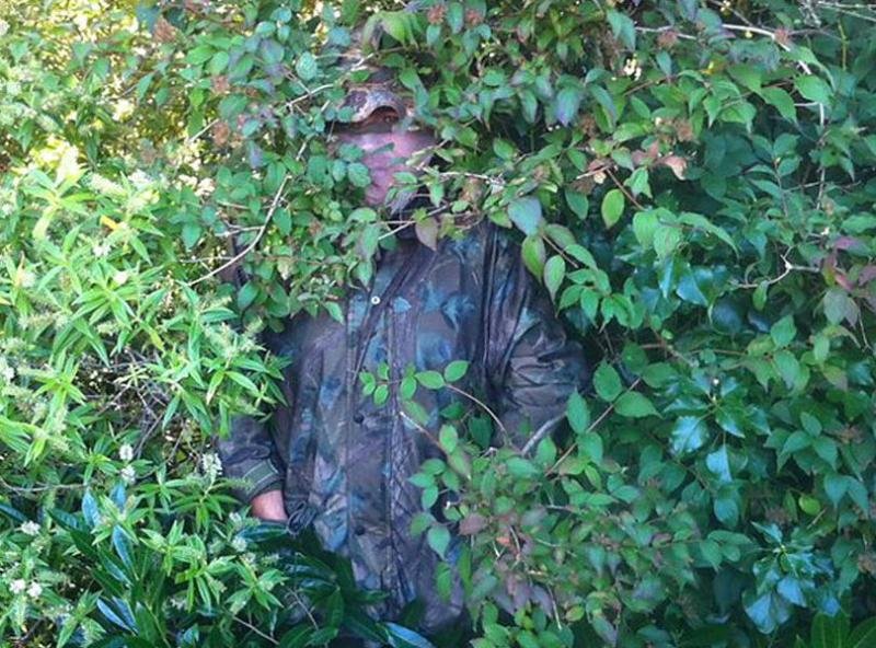 Прячется в кустах