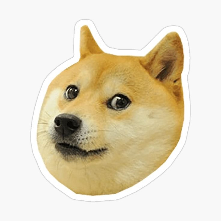 Сиба-ину Doge