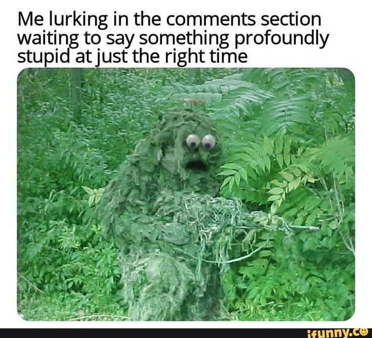 Леший прикол